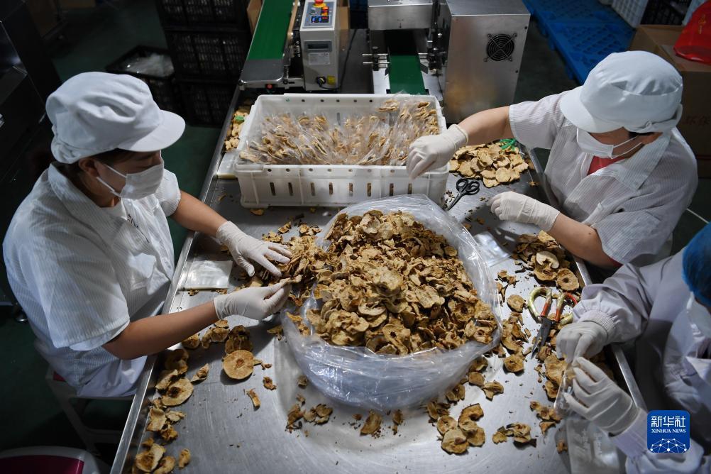 下载亚洲会